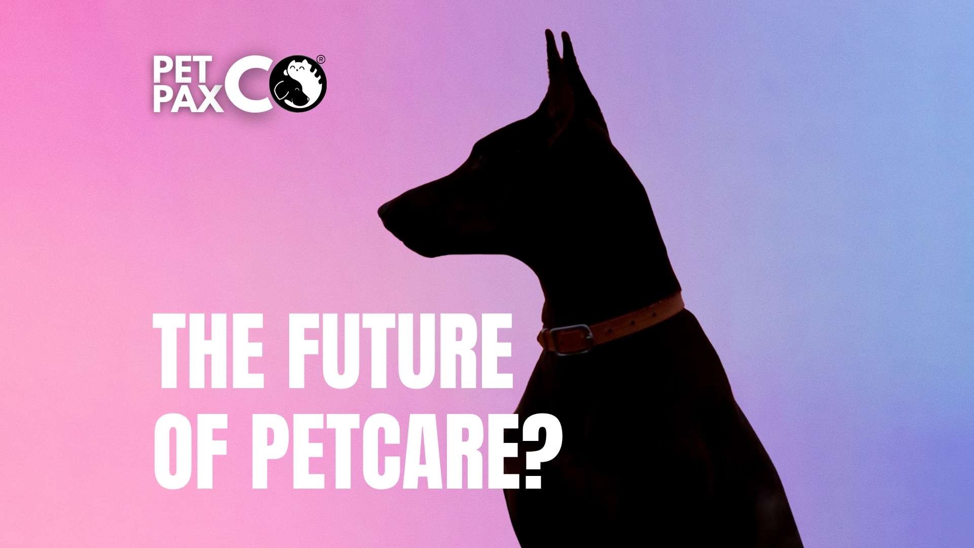 The Future of Petcare