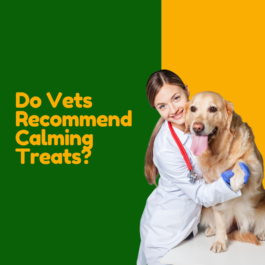 Do Vets Recommend Calming Treats?