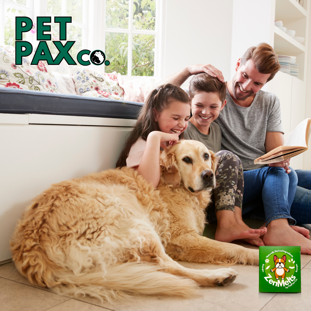 Exploring Natural Calming Remedies for Dogs: A Gentle Approach to Canine Anxiety