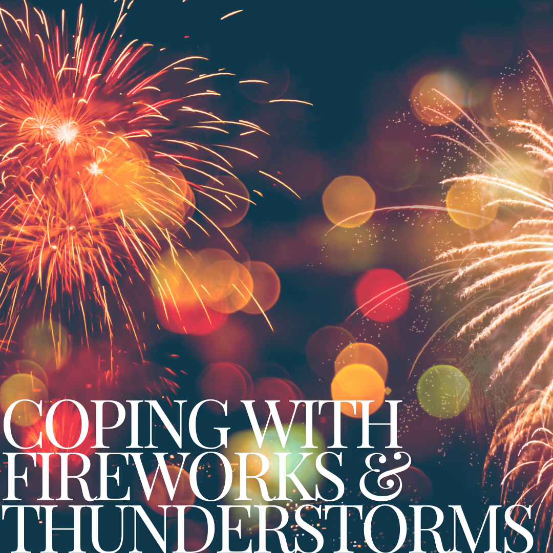 Coping with Fireworks and Thunderstorms: Tips for Anxious Dogs