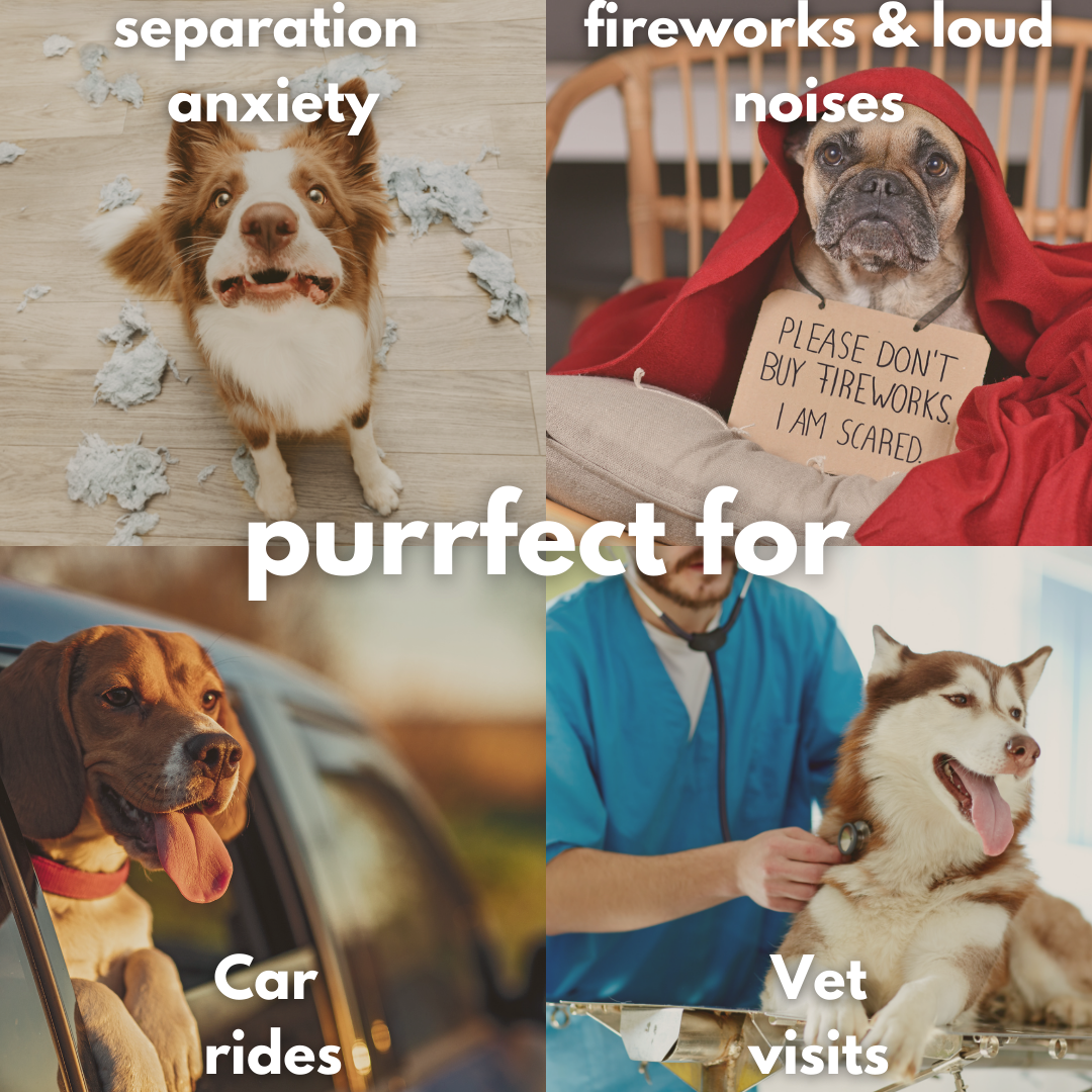 ZenMelts: 4-in-1 calming strips for dogs