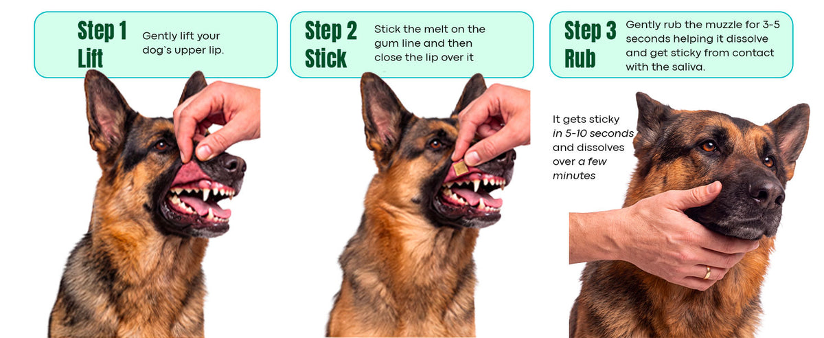DentalMelts: 5 in 1 breath freshening strips for dogs