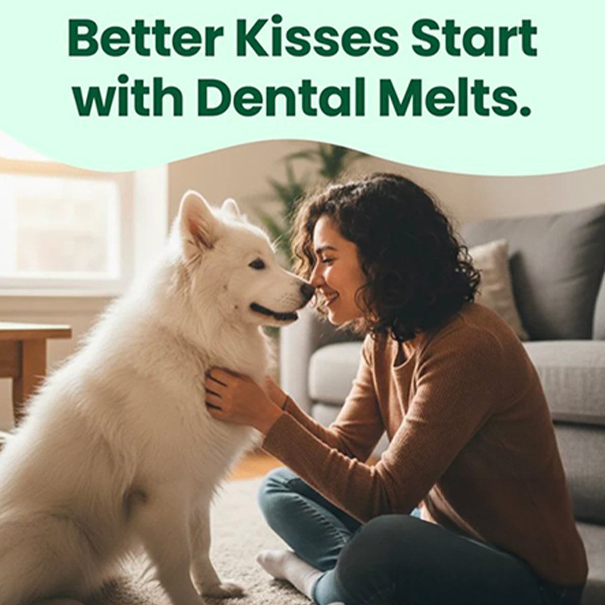DentalMelts: 5 in 1 breath freshening strips for dogs