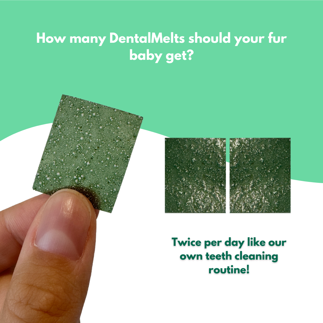 DentalMelts: 5 in 1 breath freshening strips for dogs