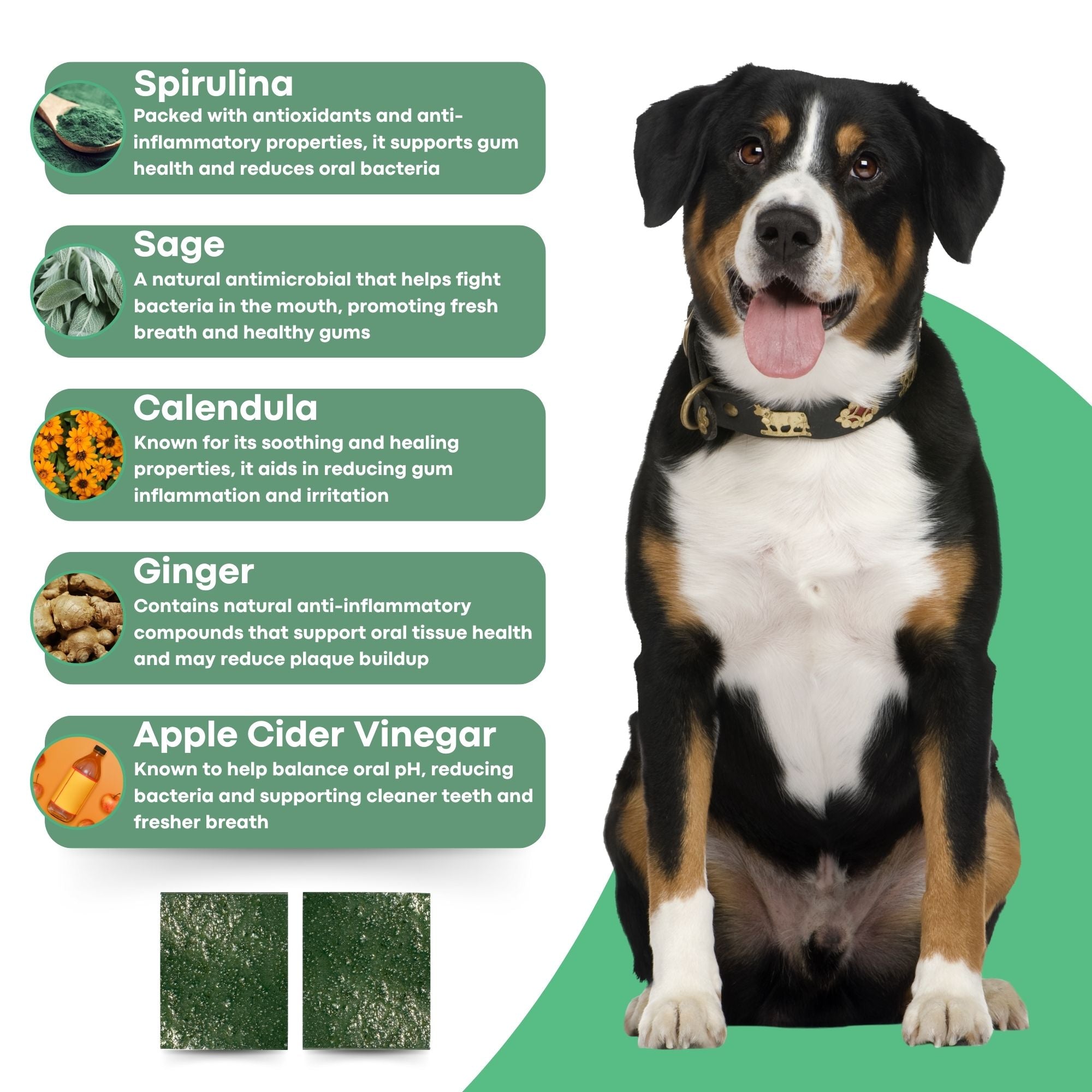 Calm & Fresh Bundle - Dental & Zen Melts + Chew Bone