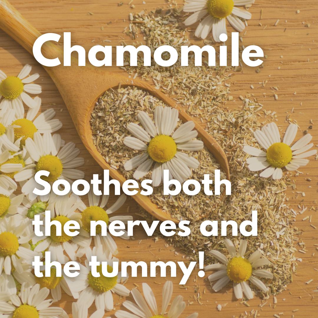 ZenMelts - Daily Use (for very anxious dogs)