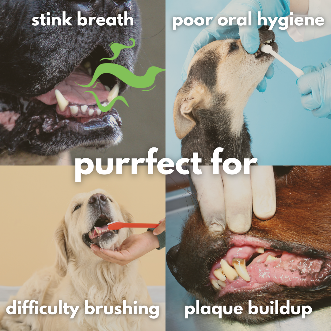 DentalMelts: 5 in 1 breath freshening strips for dogs