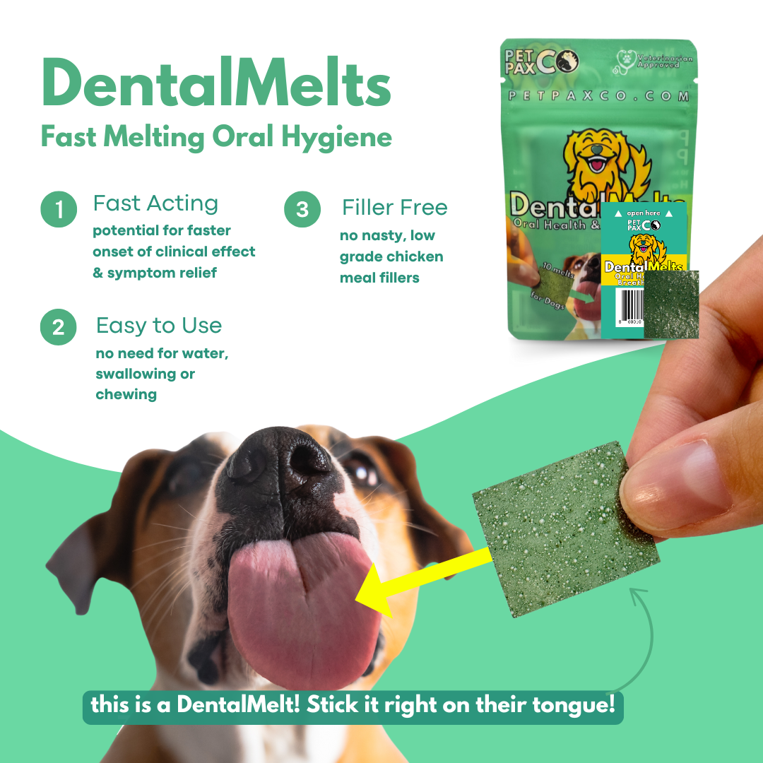 Calm & Fresh Bundle - Dental & Zen Melts + Chew Bone
