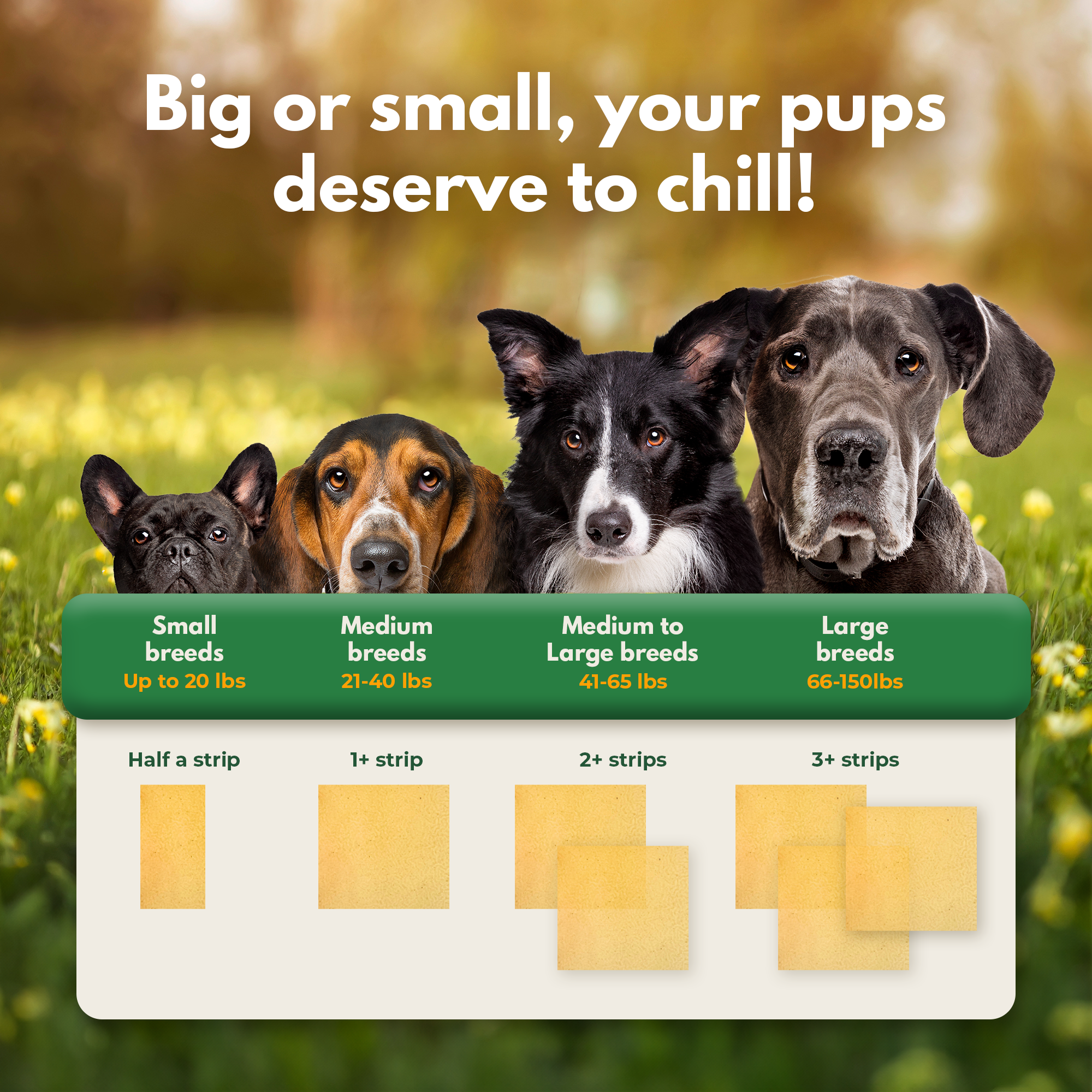 ZenMelts: 4-in-1 calming strips for dogs
