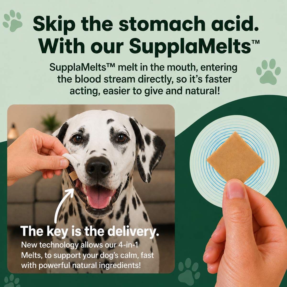 ZenMelts calming support for Dogs: 4-in-1 fast acting melts
