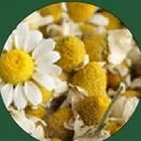 Chamomile flowers