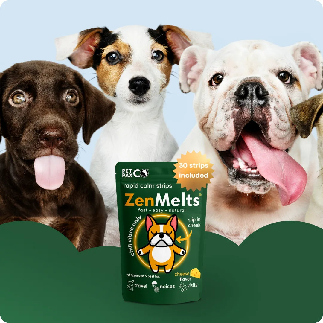 Three puppies behind a ZenMelts cheese-flavor pouch